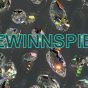 Gewinnspiel