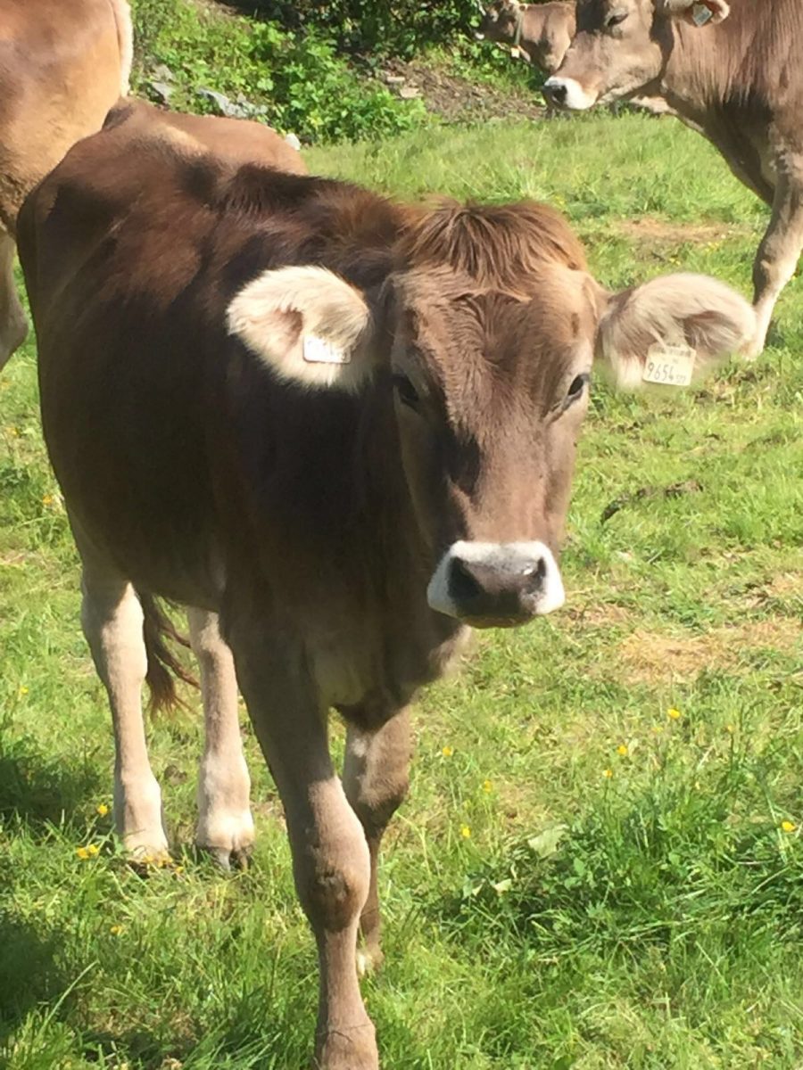Schöne Grüße ... - Deine Christine!
