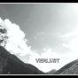 Verlust