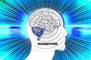 Kognition