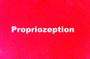 Propriozeption