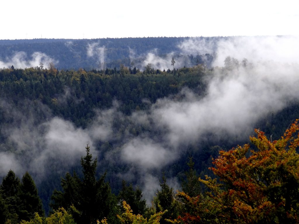 Bad Wildbad Sicht