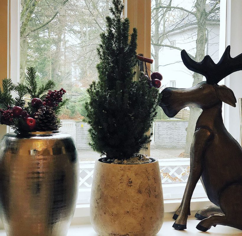 Weihnachtsdeko auf die Schnelle
